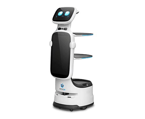 T11